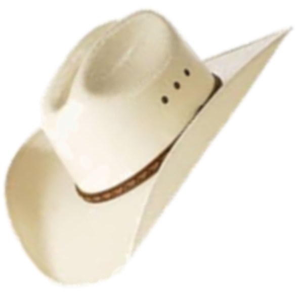 Gawler Country Music Club